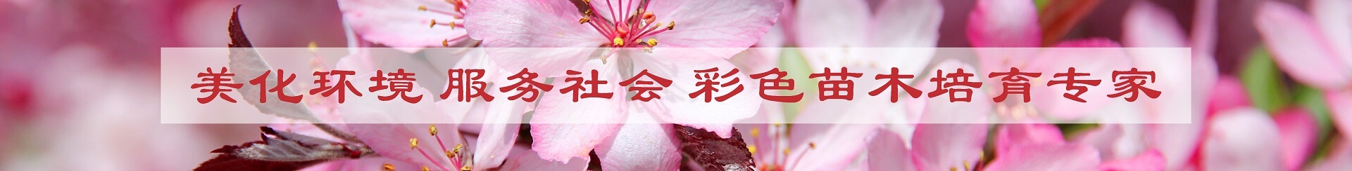 客戶案例